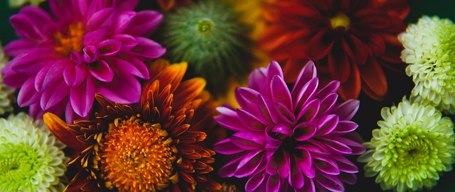 經驗提供了 經驗提供了