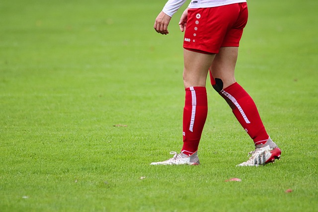 基礎設施的 基礎設施的