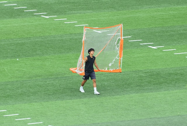 将蒙蒂波都 将蒙蒂波都