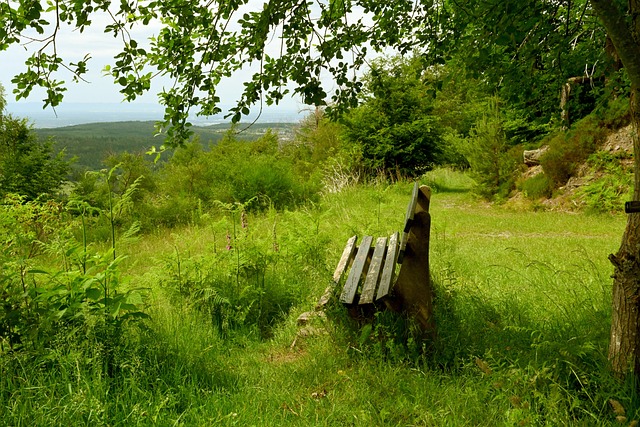 生了深远影 生了深远影