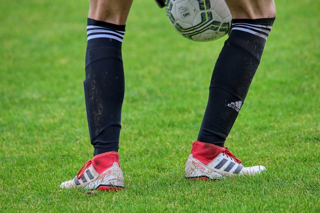 支持者兴奋 支持者兴奋